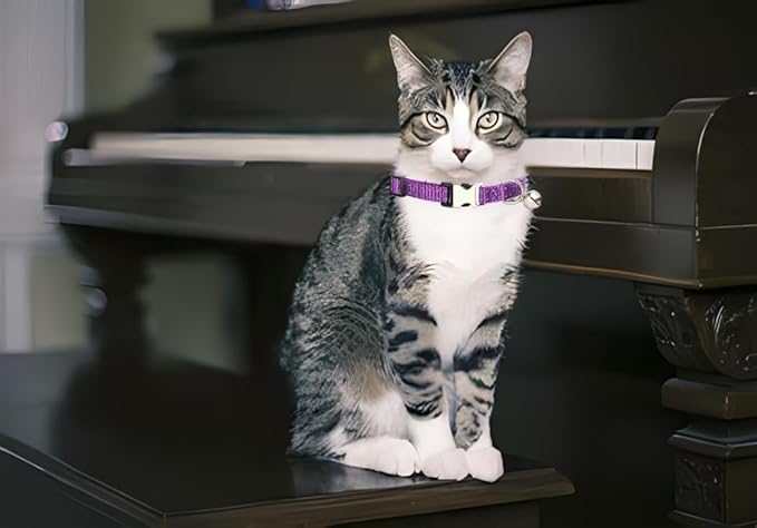 Purple Puppy Collar with Bell, Reflective Nylon XS Cat Collars Soft Adjustable Buckle for XSmall Small Puppy Female Tiny Pets Dogs Boy Girl Kitten Yorkie Chihuahua X-Small