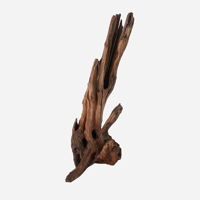 Natural Driftwood for Aquarium Decor, L12.99×W6.69×H20.47 Inches Large Drift Wood Decorations for Reptile Hide, Fish Tank, Optional Shapes