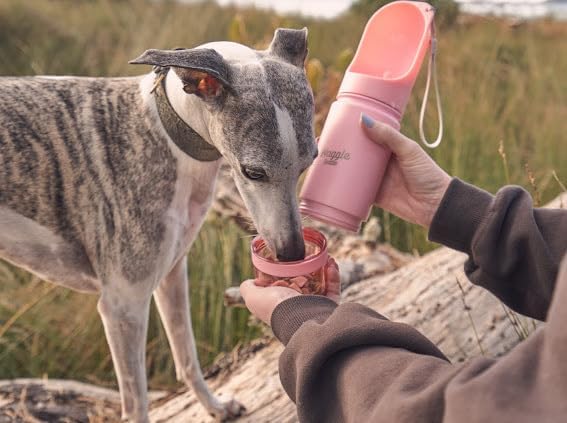 Stainless Steel Dog Travel Water Bottle, Vacuum Insulated Portable Dog Water Dispenser, Drink Cup and Snack Container On The Go, Outdoor Walking, Hiking, Travel (Cobalt)