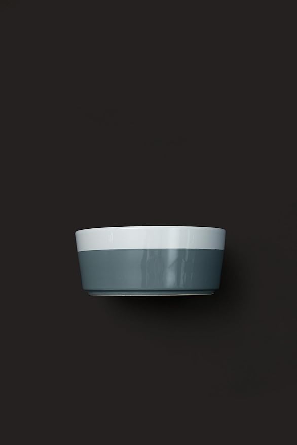 Waggo Dipper Ceramic Dog Bowl for Small and Large Breeds - Heavyweight and Durable Pet Food and Water Dish Crock, Dishwasher Safe, Modern (Dolphin, Large)