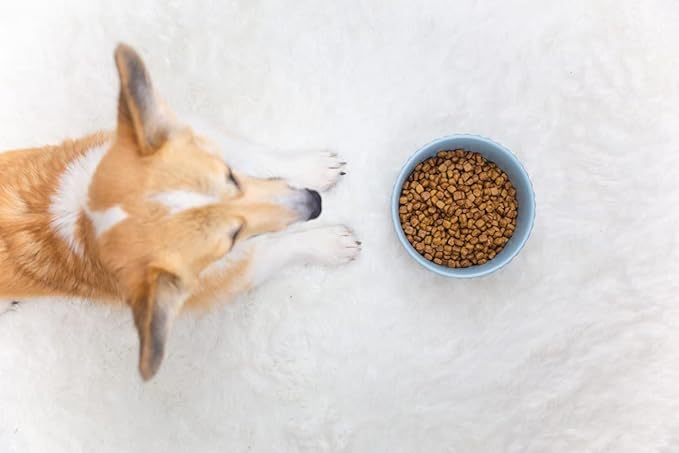 Waggo Ripple Ceramic Dog Bowl for Medium and Large Breeds - Modern with Matte Finish, Heavyweight Durable Pet Food and Water Dish Crock, Dishwasher Safe (Large, White)