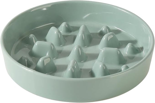 Ceramic 8.2 inch Dog Bowl Slow Feeder, Slow Pet Food Dish for Medium and Large Dog, Stop Bloat, Preventing Choking(Single Bowl, Light Green)