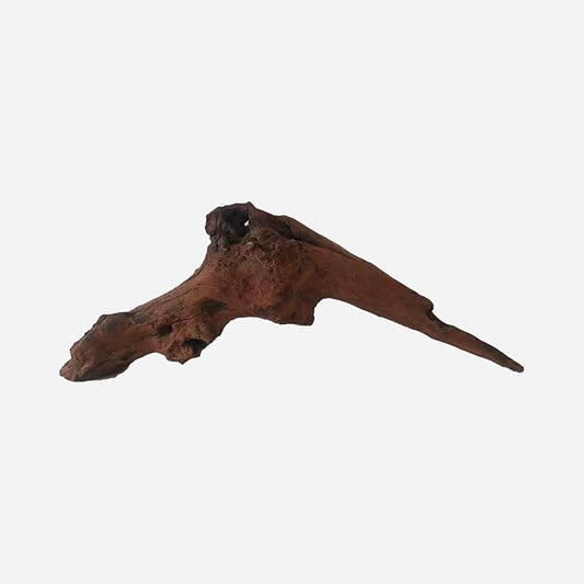 Natural Driftwood for Aquarium Decor, L20.87×W5.12×H7.48 Inches Large Drift Wood Decorations for Reptile Hide, Fish Tank, Optional Shapes