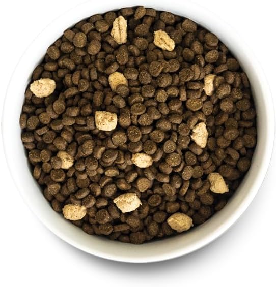 Open Farm, RawMix Dry Cat Food, Protein-Packed Kibble Coated in Bone Broth with Freeze Dried Raw Chunks, Formulated for Kittens, Chicken with Turkey & Wild-Caugh Salmon Recipe for Kittens, 8lb Bag