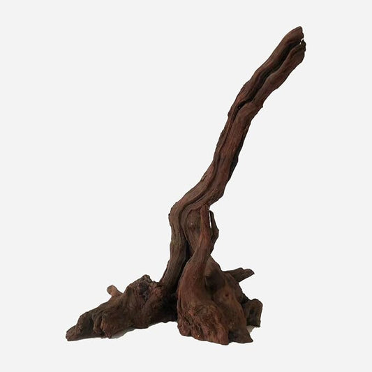 Natural Driftwood for Aquarium Decor, L11.81×W9.06×H16.54 Inches Large Drift Wood Decorations for Reptile Hide, Fish Tank, Optional Shapes