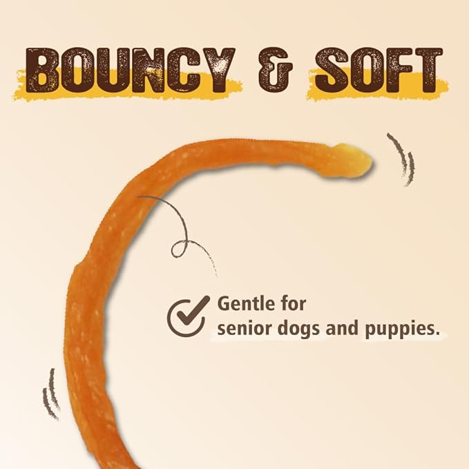 Gootoe Soft Turkey Tendon Stirip 1 lb, Natural Chewy Snack, USA-Sourced Turkey Tendon, Premium Training Chew, Hypoallergenic, Reseal Value Bag, Ideal for Small& Senior Dog, Jumbo Pack