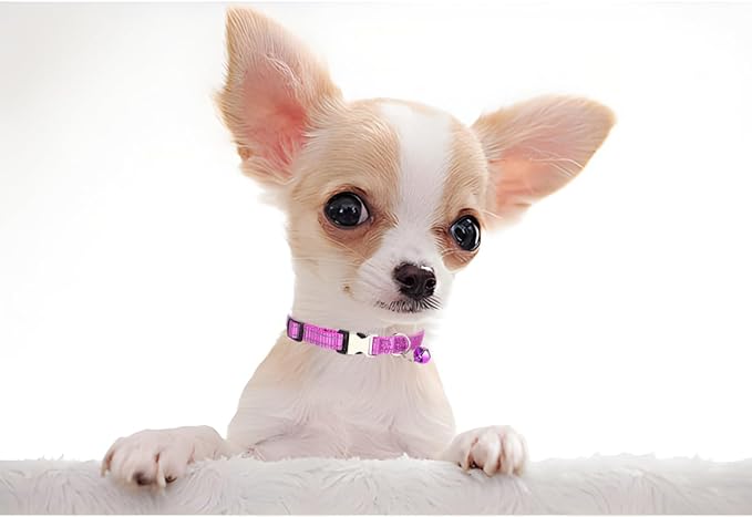 Light Purple Kitten Collar with Bell, Reflective Nylon XS Cat Collars Soft Puppy Collar Adjustable Buckle for XSmall Small Dogs Puppies Female Tiny Pets Boy Girl Kitten Yorkie X-Small