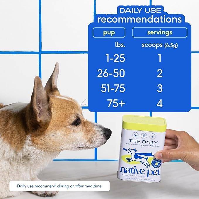 Native Pet The Daily Dog Supplement (90 Scoops) & Salmon Oil for Dogs & Cats (8 Oz.) - 11 in 1 Multivitamin & Pure Omega-3 Fish Oil Supplement for Skin & Coat, Joint, Heart Health & Anti-Inflammatory