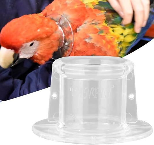 Parrot Neck Collar, Bird Recovery Cones Neck Cover Bird Protector for Birds(M)