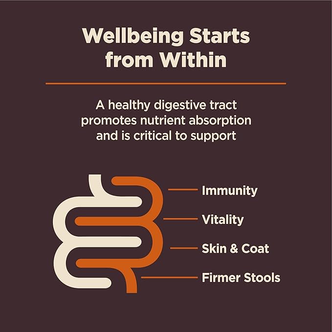 Wellness CORE Digestive Health Dry Dog Food, Small Breed, Wholesome Grains, Natural, Recipe for Dogs with Sensitive Stomachs, Chicken, (12-Pound Bag)