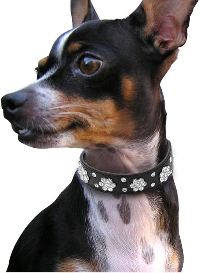 Rhinestone Dog Collar, Cute Flower Rhinestone Bling Collar PU Leather Adjustable Sizes Small Medium Large (S, Black)