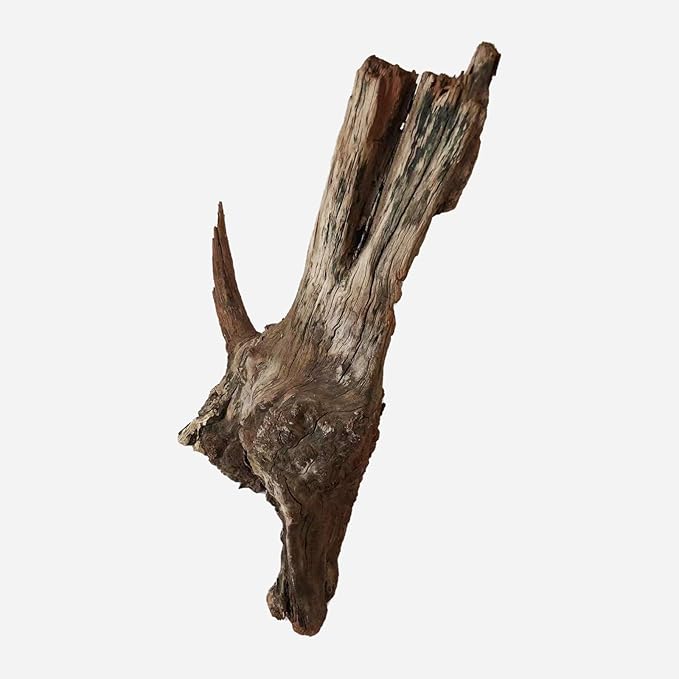 Natural Driftwood for Aquarium Decor, L19.69×W8.27×H17.72 Inches Large Drift Wood Decorations for Reptile Hide, Fish Tank, Optional Shapes