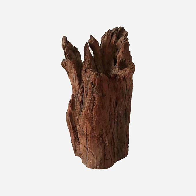 Natural Driftwood for Aquarium Decor, L8.66×W6.69×H15.75 Inches Large Drift Wood Decorations for Reptile Hide, Fish Tank, Optional Shapes