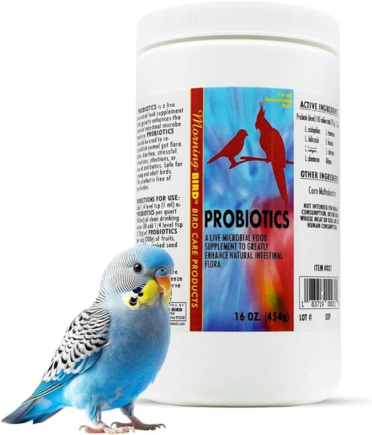 Morning Bird Probiotics for Birds 16 oz– Digestive Health Supplement with Supports Gut Balance, Nutrient Absorption & Immune Support – Easy Mix Powder Supplement for All Bird Species