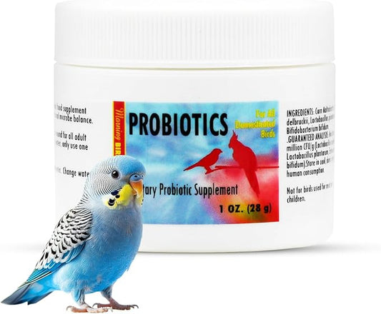 Morning Bird Probiotics for Birds 1 oz– Digestive Health Supplement with Supports Gut Balance, Nutrient Absorption & Immune Support – Easy Mix Powder Supplement for All Bird Species