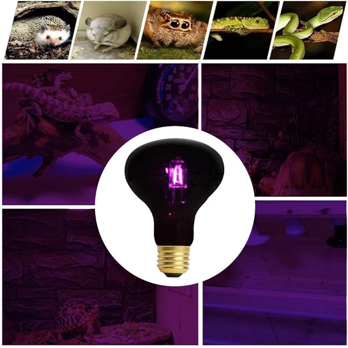 OMAYKEY 100W Infrared Heat Lamp Bulb Moonlight Light Glass Heating Lamps Bulbs for Lizard Snake Chameleon Bearded Dragon Aquarium Reptile & Amphibian - 2 Pack