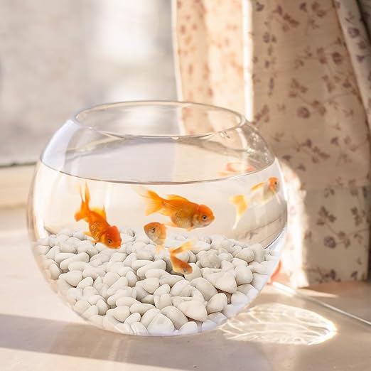 Premium 1-2 Inch White Natural River Rocks – Versatile 22 lbs River Rocks & Pebbles for Outdoor and Indoor Plants, Use for Decorative White Stones for Garden, Aquarium, Vase, Plant, Crafting