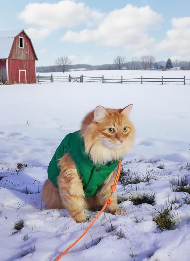 ASENKU Dog Winter Coat - Waterproof Windproof Dog Jacket, Warm Snowproof Doggie Puffer Vest for Cold Weather, Lightweight Snow Coats for Small Medium Large Dogs (XS, Green)