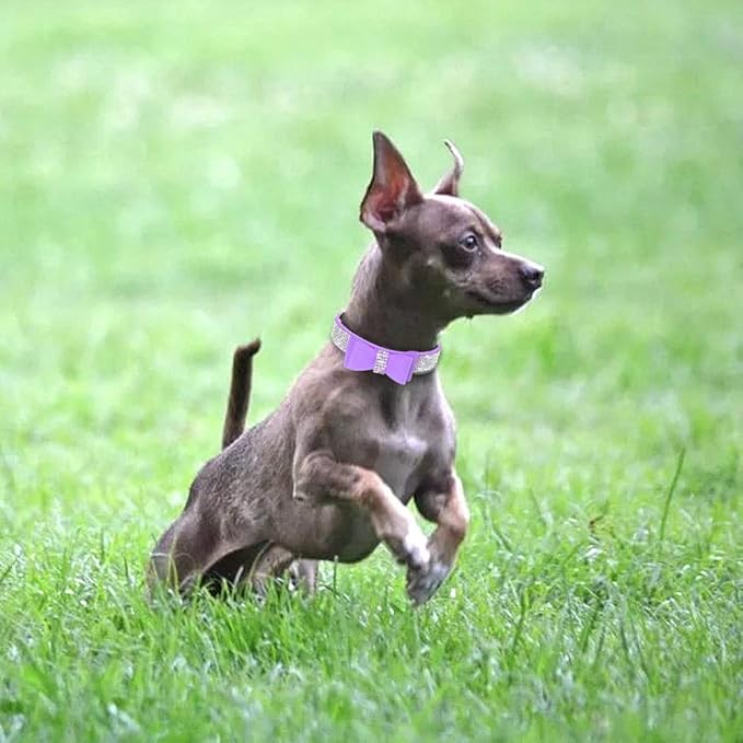 Cute Dog Collar with Bling Rhinestone, Fancy Crystal Diamond Glitter Pretty Jewel Soft Cat Collars for Small Medium Large Breed Dogs Girl Female Pet Puppy Kitten Terrier (XS, Purple1)