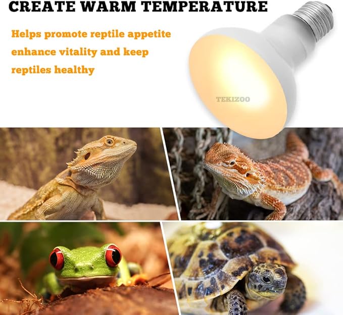 Heat Lamp Bulbs Reptile Basking Light Spot Daylight for Bearded Dragon,Lizard,Tortoise,Amphibian 100W(2 Pack)
