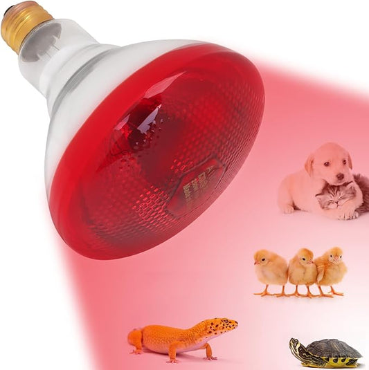 Aiicioo Infrared Heat Lamp Bulb 250W Red Infrared Heat Bulb for Chickens Reptile Heat Light Bulb for Brooder Coop Chicks Pet Reptile Amphibians Par38 Glass E26 Base