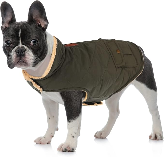 Queenmore Warm Dog Coat, Cold Weather Puffer Dog Coat, Quilting Winter Dog Jacket Ultra Thick Plush Lining with Storage Pockets (Green, X-Small)