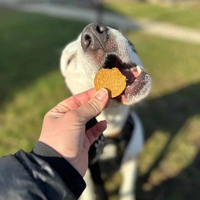 Farm To Pet - Dog Training Treats - 12 oz Fish Chips, Single Ingredient, Lean, All Natural, Healthy Treats for Small, Medium, Large Dog Breeds, & Puppies, Made in USA (12oz)