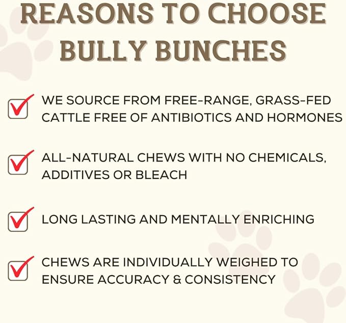 Bully Bunches Premium 6 Inch Thick Odour-Free Bully Sticks for Small & Medium Dogs - Long Lasting Chews for Oral Care - All Natural & Single Ingredient, 100% Beef Dog Treat, Rawhide Alternative (5 Pk)