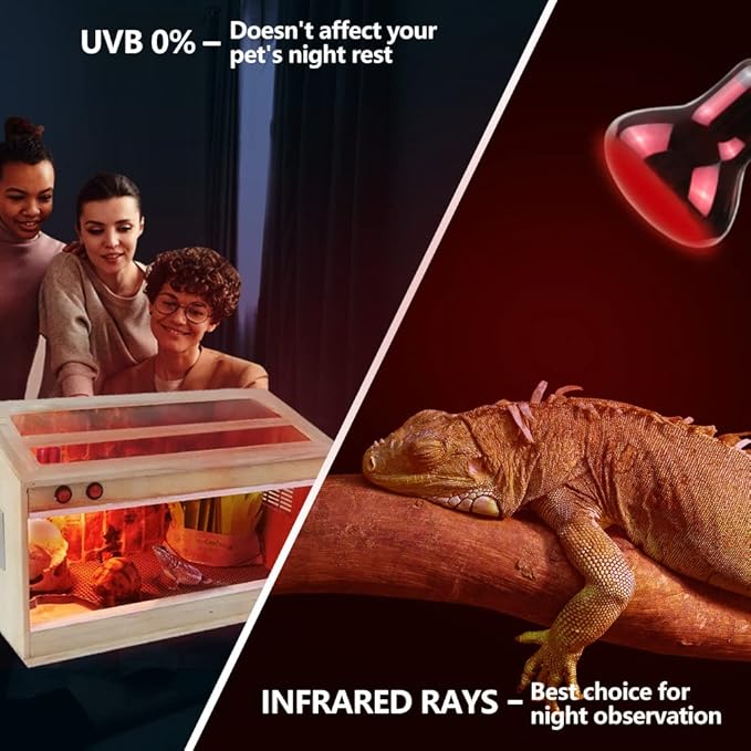 LUCKY HERP 50W Reptile Heat Lamp Bulbs 2 Pack, Reptiles & Amphibians Infrared Basking Spot Lamp, Heat Light Bulb for Turtle, Bearded Dragon, Lizard