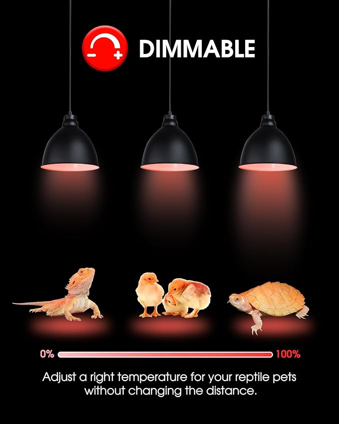 Flaspar 100W Reptile RED Heat Lamp Bulbs, Reptile & Amphibian Basking Spot Light Bulbs for Chickens Coop Pets Brooder Bearded Dragon Lizard Tortoise Use, Pack of 2