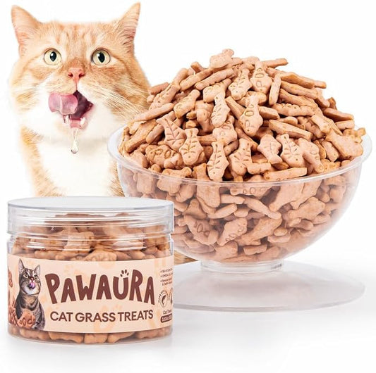 3.53oz Crunchy Cat Grass Treats for Hairball Control – Natural Salmon & Cat Grass & Catnip Biscuits, Low-Calorie Healthy Snacks for Indoor Cats, Digestive & Dental Care