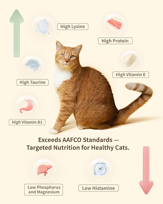 Freeze-Dried Raw Cat Food, 97% Animal Origin Dry Food for Cat, High Protein Treat & Topper (Beef Recipe - 2.1 Ounce)