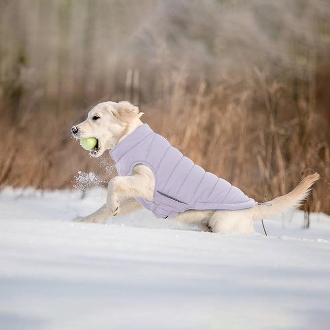 Lelepet Reversible Dog Coat Lightweight Warm Dog Winter Jacket Padded Vest Windproof Cold Weather Coat Sonwsuit with Hook & Loop Leash Hole Coats for Dogs, Non-Shedding, Easy on/Off, Pug, Purple, M