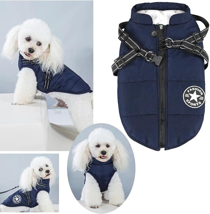 Aiboria Dog Jackets for Winter Windproof Waterproof 2 in 1 Outfit Cold Weather Coat Dog Vest Harness Puppy Winter Warm Jacket Small Blue L