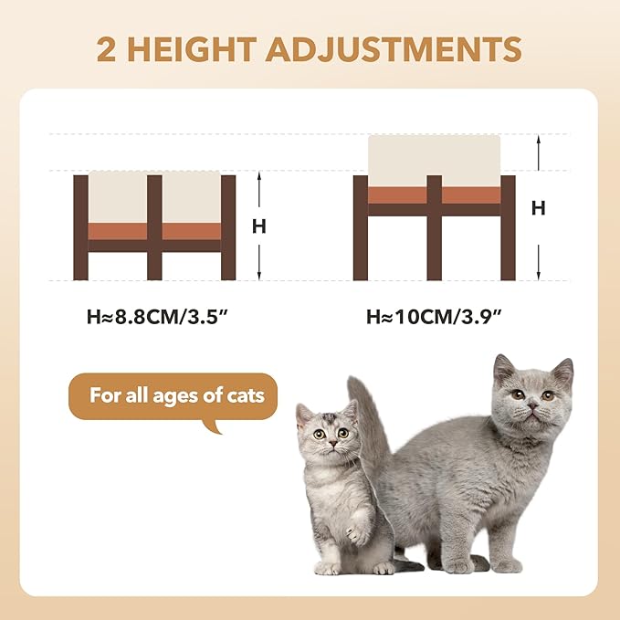 Ceramic 5.1inch Raised Double Bowls Set with Acacia Wood Stand, 2 Heights Elevated, Food & Water Bowls for Puppy, Kitty, Cats(13.5oz, Vanilla White)