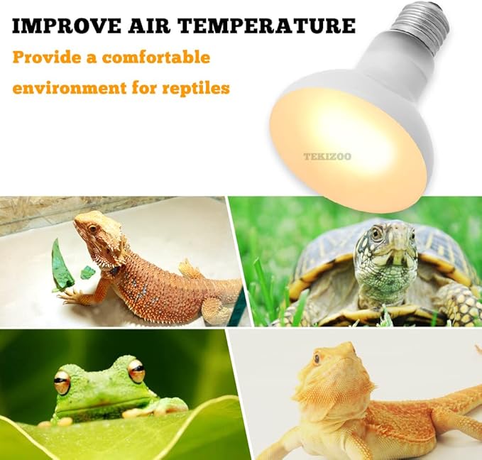 Reptile Heat Lamp UVA Basking Daylight Spot Bulb for Amphibian,Lizard,Tortoise,Bearded Dragon 75W(3 Pack)