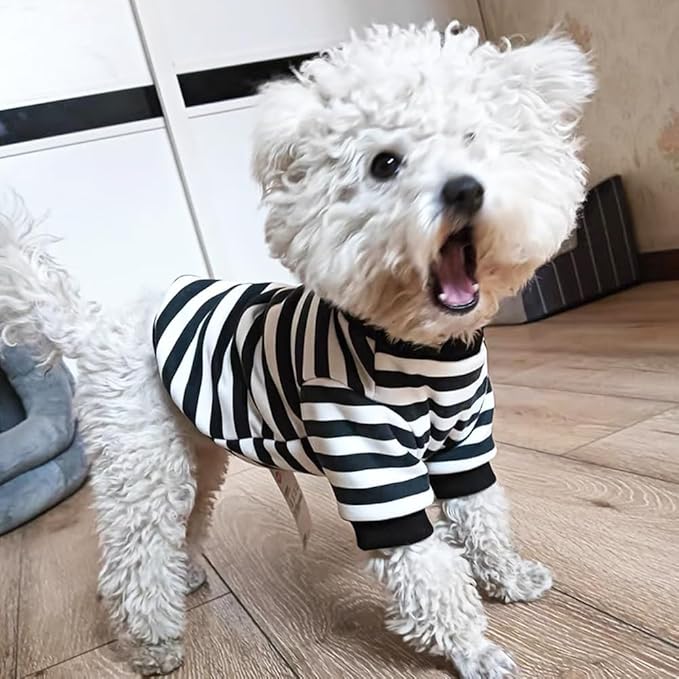 Autumn Dog Sweater with Leash Ring Warm Striped Puppy Shirt for Small Dog Girl Boy Cat Sweater Winter Pet Clothes Pomeranian Chihuahua Cold Weather Coat (Black, X-Small)