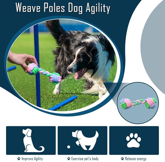Dog Agility Course Backyard Set, Dog Agility Equipment, Portable Agility Training Equipment for Dogs, Build Dog Obstacle Course Backyard with 2 Tunnels, 3 Jumps, 6 Weave Poles & More, Dog Training Kit