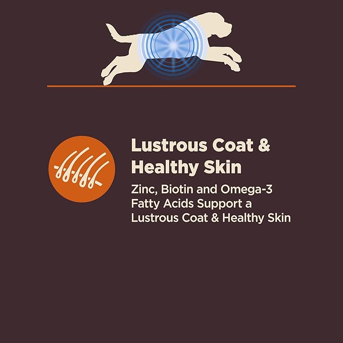 Wellness CORE Digestive Health Dry Dog Food, Large Breed, Wholesome Grains, Natural, Recipe for Dogs with Sensitive Stomachs, Chicken, (24-Pound Bag)