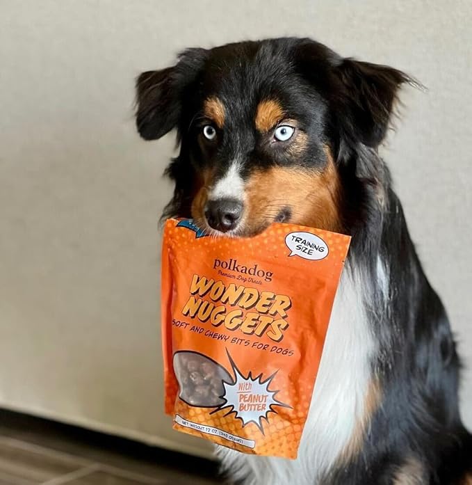 Polkadog Wonder Nuggets 3-Pack– Soft & Chewy Dog Treats with Peanut Butter – Healthy, Limited Ingredient Training Treats for All Dog Breeds and Ages – Natural, Made in USA – 10 oz (Pack of 3)