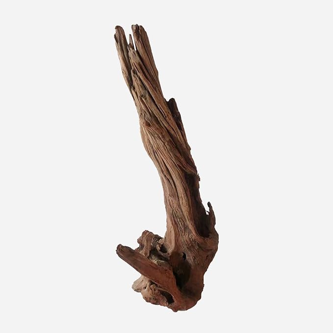 Natural Driftwood for Aquarium Decor, L12.99×W6.69×H20.47 Inches Large Drift Wood Decorations for Reptile Hide, Fish Tank, Optional Shapes