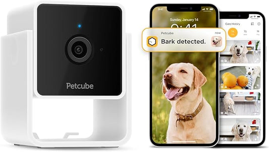 Petcube Security Camera (Cam with Subscription)