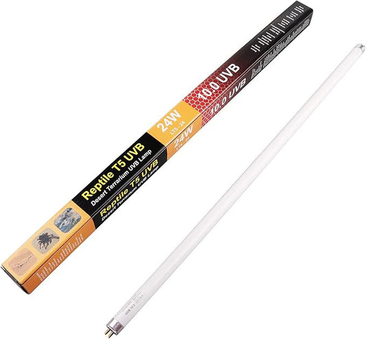 Aiicioo T5 HO Reptile UVB Light - Desert UVA UVB 10.0 Fluorescent Lamp 22" Tube Lighting Desert Reptile UVB Lamp 24W for Turtles Chameleon Tortoises Lizard Bearded Dragon