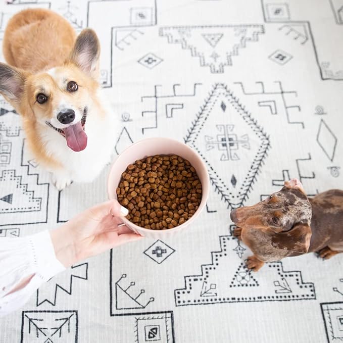 Waggo Ripple Ceramic Dog Bowl for Medium and Large Breeds - Modern with Matte Finish, Heavyweight Durable Pet Food and Water Dish Crock, Dishwasher Safe (Large, Teal)