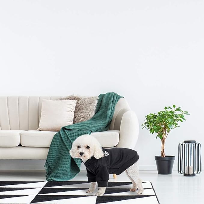 SCENEREAL Security Dog Hoodie for Large Medium Small Dogs, Soft Puppy Sweatshirts with Leash Hole for Outdoor Walking, Fall Winter Halloween Dog Costume Pet Cold Weather Coats