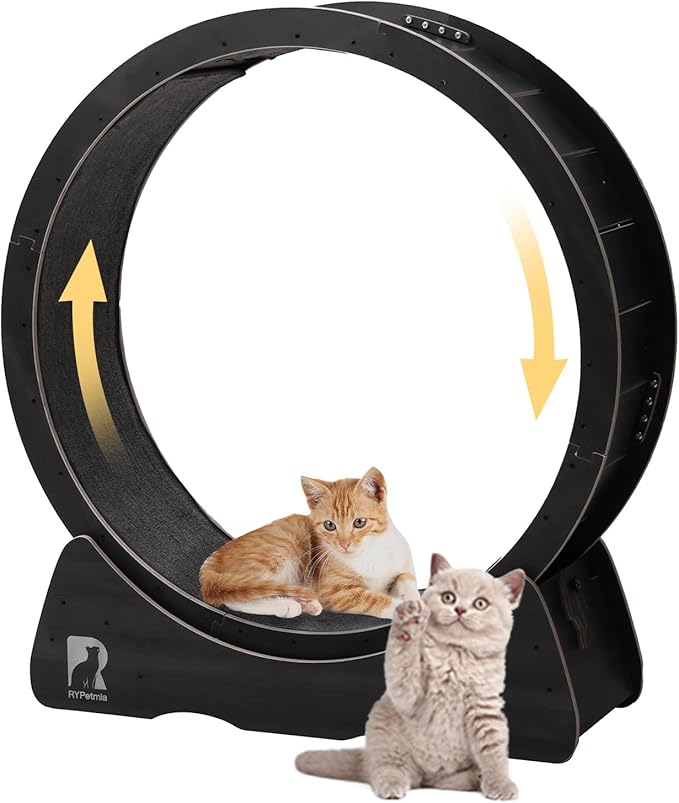 43 Inch Large Cat Exercise Wheel for Indoor Cats, Silent Treadmill, Non-Tip Design, Safe & Quiet Cat Running Wheel, Easy to Assemble, Supports Cats Up to 55 lbs (Black)