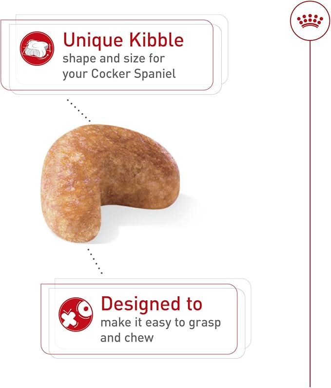 Royal Canin Cocker Spaniel Adult Dry Dog Food, 6 lb bag