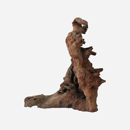 Natural Driftwood for Aquarium Decor, L12.2×W7.48×H13.78 Inches Large Drift Wood Decorations for Reptile Hide, Fish Tank, Optional Shapes