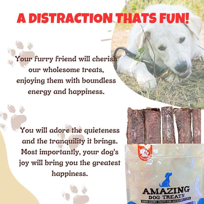Amazing Dog Treats - Beef Esophagus Jerky for Dogs (10-12 Inch - 30 Pc/Pack) - Gullet Dog Chews