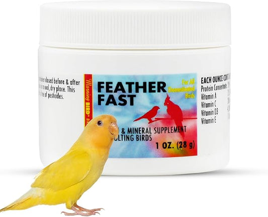 Morning Bird Feather Fast 1 Oz – Multi-Vitamin During Molt - Molting Support Supplement for Birds – Amino Acid & Vitamin Powder Formula– Promotes Feather Growth, and Full Plumage – for All Adult Birds